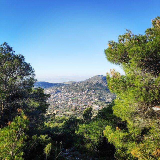 Parntha_Agios_Kiprianos_Koromilia_Tamilthi_Alogopetra_183755_466