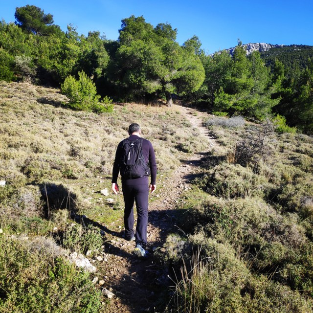 Parntha_Agios_Kiprianos_Koromilia_Tamilthi_Alogopetra_183934_858