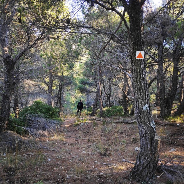 Parntha_Agios_Kiprianos_Koromilia_Tamilthi_Alogopetra_184043_114