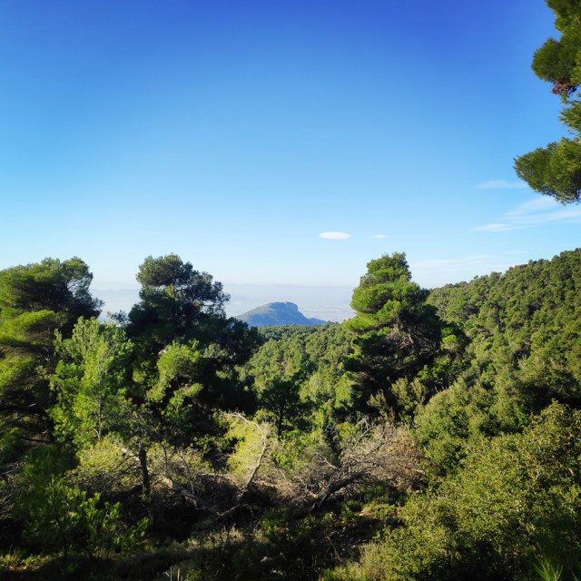 Parntha_Agios_Kiprianos_Koromilia_Tamilthi_Alogopetra_184239_433