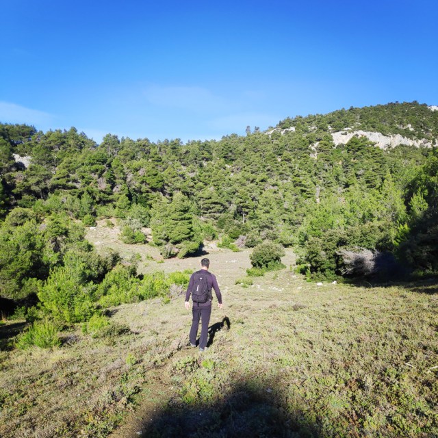 Parntha_Agios_Kiprianos_Koromilia_Tamilthi_Alogopetra_184356_545