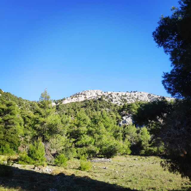 Parntha_Agios_Kiprianos_Koromilia_Tamilthi_Alogopetra_184512_454