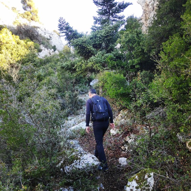 Parntha_Agios_Kiprianos_Koromilia_Tamilthi_Alogopetra_184606_165