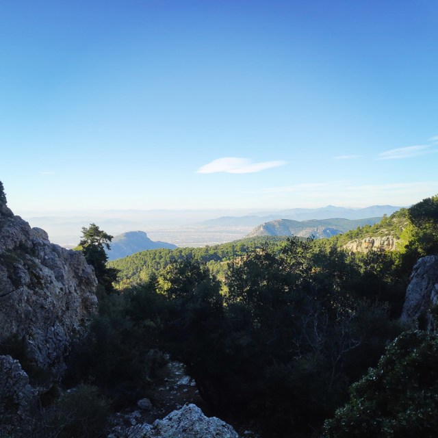 Parntha_Agios_Kiprianos_Koromilia_Tamilthi_Alogopetra_184655_789