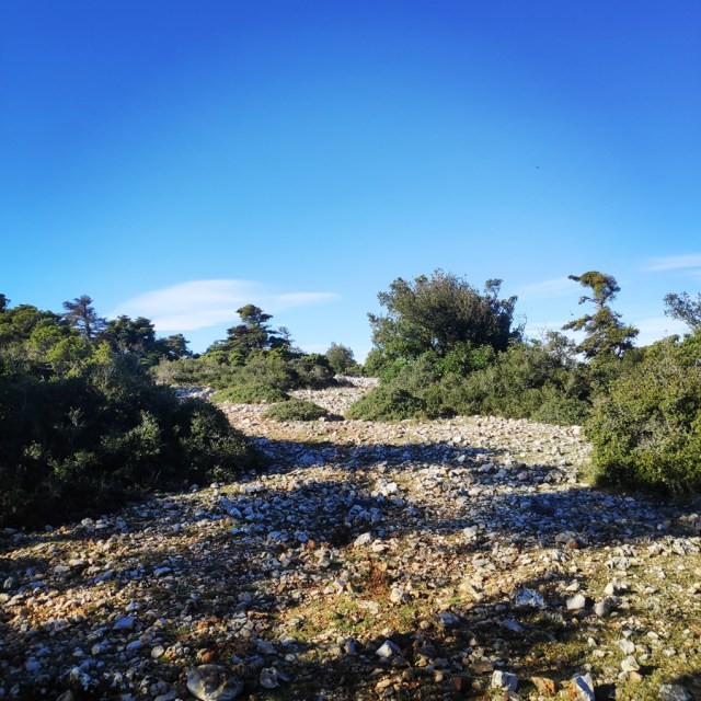 Parntha_Agios_Kiprianos_Koromilia_Tamilthi_Alogopetra_185053_839