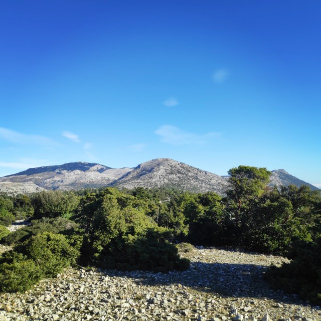 Parntha_Agios_Kiprianos_Koromilia_Tamilthi_Alogopetra_185209_295