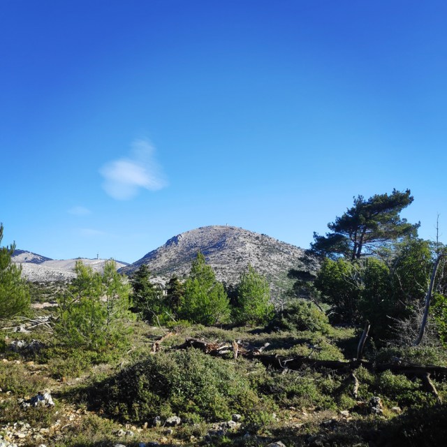 Parntha_Agios_Kiprianos_Koromilia_Tamilthi_Alogopetra_185318_920