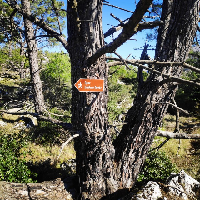 Parntha_Agios_Kiprianos_Koromilia_Tamilthi_Alogopetra_185355_697