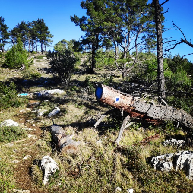 Parntha_Agios_Kiprianos_Koromilia_Tamilthi_Alogopetra_185541_274