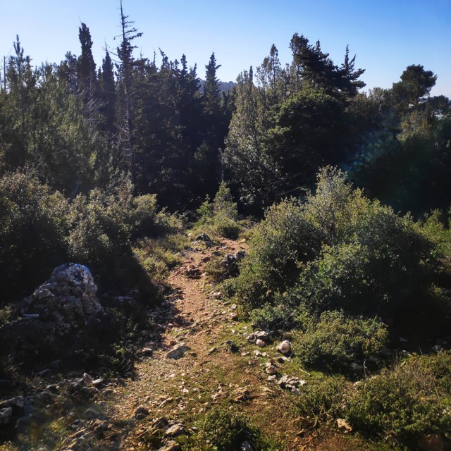 Parntha_Agios_Kiprianos_Koromilia_Tamilthi_Alogopetra_185616_069