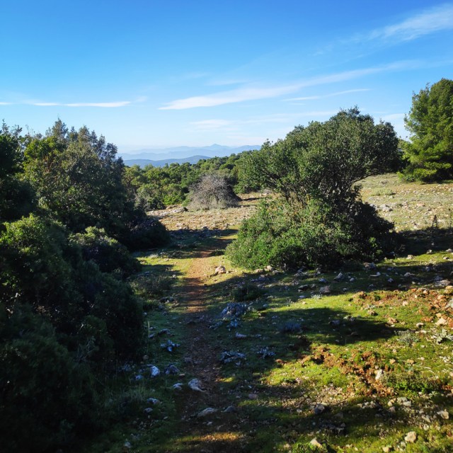 Parntha_Agios_Kiprianos_Koromilia_Tamilthi_Alogopetra_185650_831