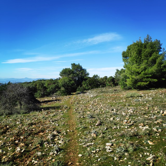 Parntha_Agios_Kiprianos_Koromilia_Tamilthi_Alogopetra_185717_549