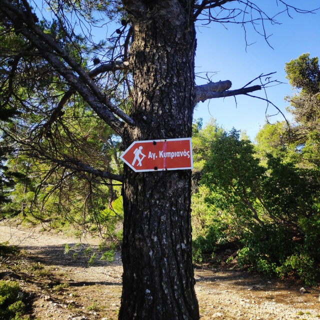 Parntha_Agios_Kiprianos_Koromilia_Tamilthi_Alogopetra_185817_129