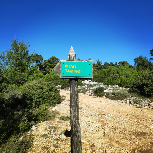 Parntha_Agios_Kiprianos_Koromilia_Tamilthi_Alogopetra_185936_895