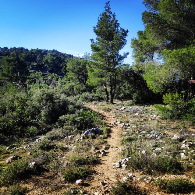 Parntha_Agios_Kiprianos_Koromilia_Tamilthi_Alogopetra_190004_944