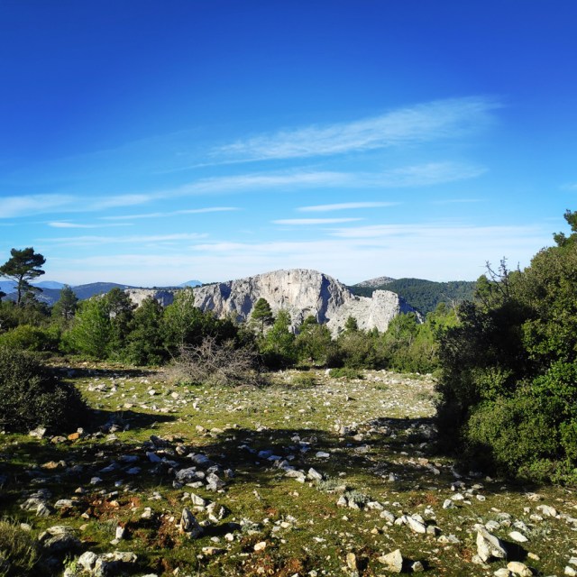 Parntha_Agios_Kiprianos_Koromilia_Tamilthi_Alogopetra_190031_208