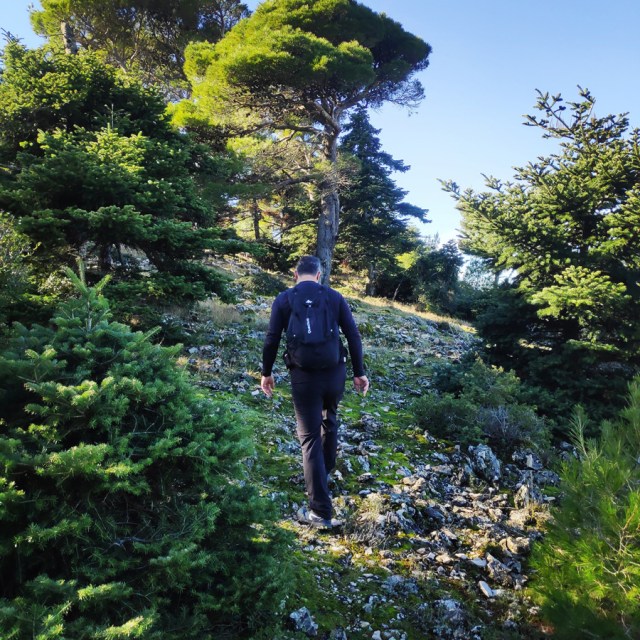 Parntha_Agios_Kiprianos_Koromilia_Tamilthi_Alogopetra_190053_152