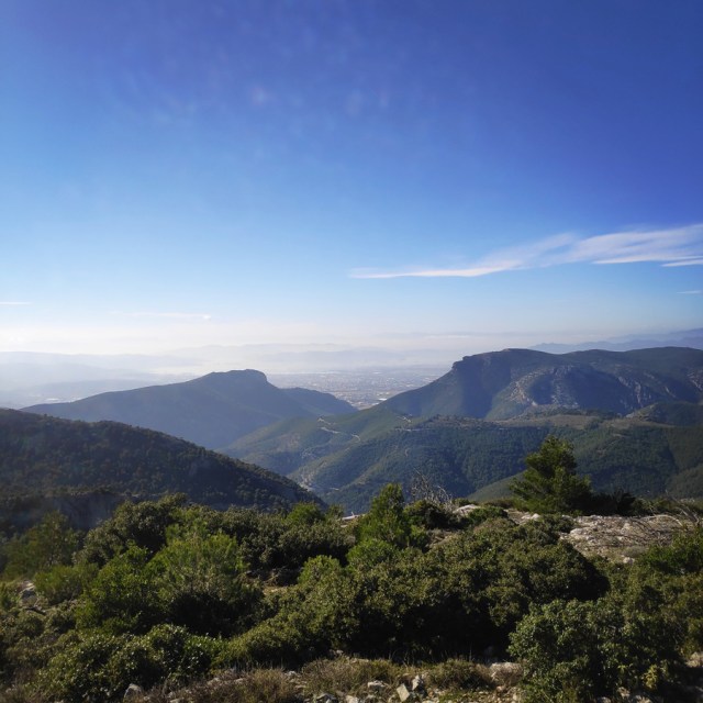 Parntha_Agios_Kiprianos_Koromilia_Tamilthi_Alogopetra_190538_228