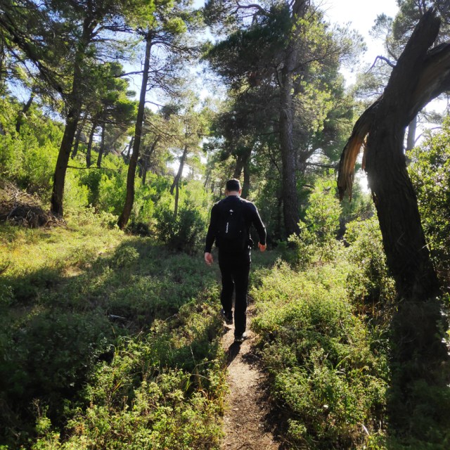 Parntha_Agios_Kiprianos_Koromilia_Tamilthi_Alogopetra_190636_079