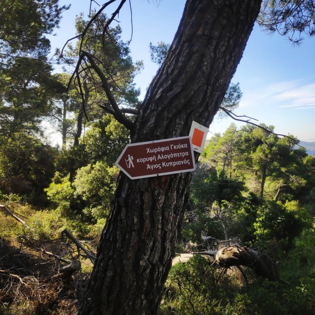 Parntha_Agios_Kiprianos_Koromilia_Tamilthi_Alogopetra_190653_403