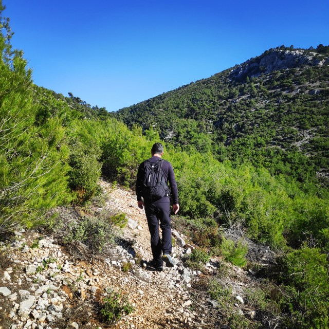 Parntha_Agios_Kiprianos_Koromilia_Tamilthi_Alogopetra_190719_620