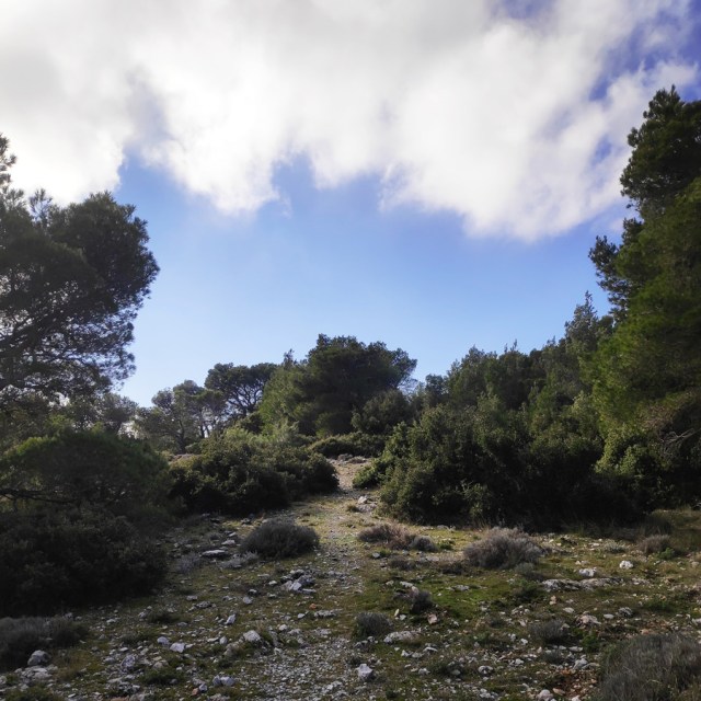 Parntha_Agios_Kiprianos_Koromilia_Tamilthi_Alogopetra_190746_020