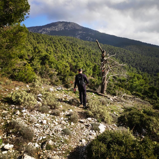 Parntha_Agios_Kiprianos_Koromilia_Tamilthi_Alogopetra_191025_663