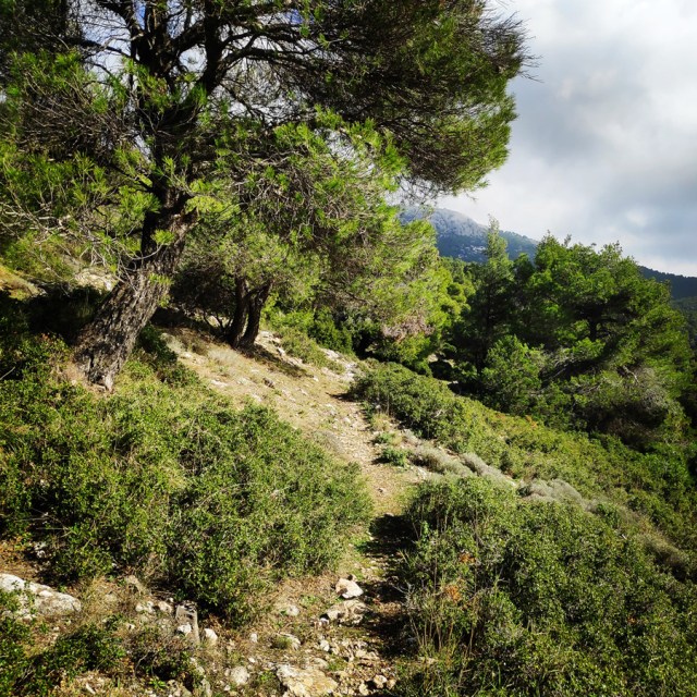 Parntha_Agios_Kiprianos_Koromilia_Tamilthi_Alogopetra_191125_213