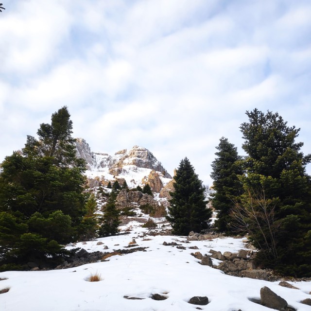 Winter_Mountaineering_Tzoumerka_Strogoula_Bear_Couloir_215531_725