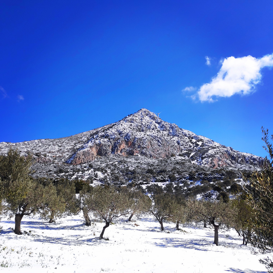 Winter_Mountaineering_Ortholithi_Monsters_or_the_Wind_143941_456