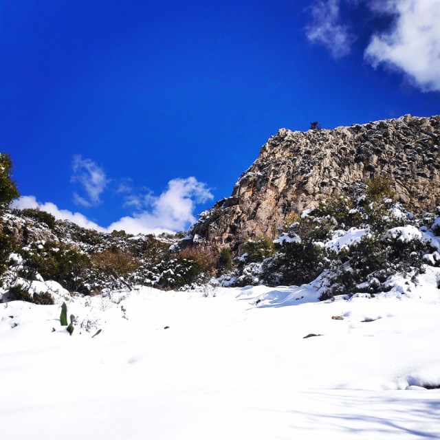 Winter_Mountaineering_Ortholithi_Monsters_or_the_Wind_144317_710