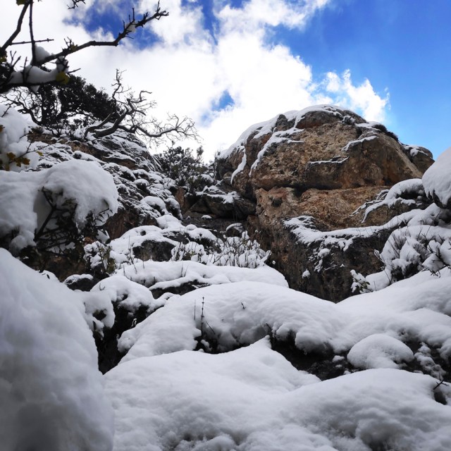 Winter_Mountaineering_Ortholithi_Monsters_or_the_Wind_144557_576