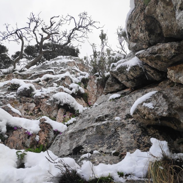 Winter_Mountaineering_Ortholithi_Monsters_or_the_Wind_145023_106