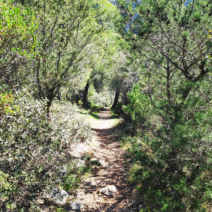 Climbing_Petrogerakas_Crag_Katafyki_Ermioni_Approach_03