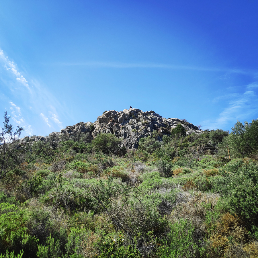 Dardiza_Bayby3_Trad_Climbing_Dardiza_Ermioni_204741_376