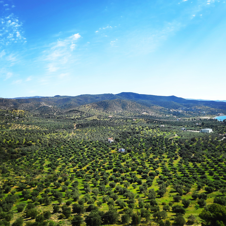 Dardiza_Bayby3_Trad_Climbing_Dardiza_Ermioni_205956_582