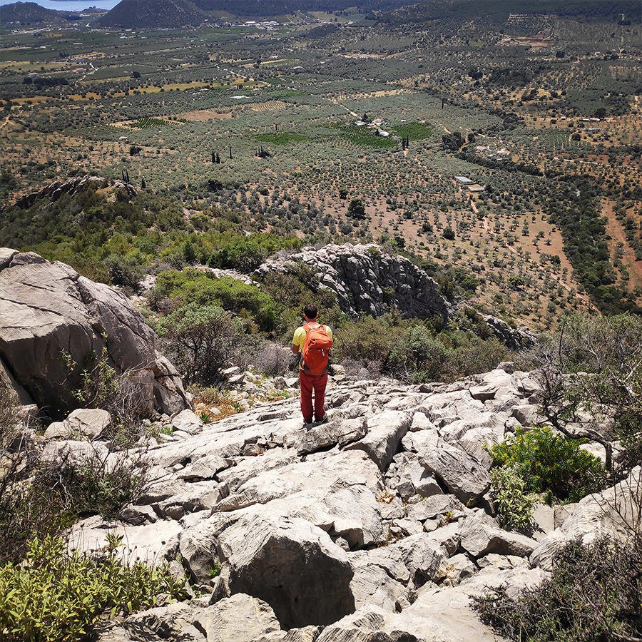 Maia_Multi_Pitch_Katafyki_Ermioni_10