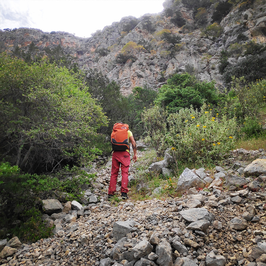 Maia_Multi_Pitch_Katafyki_Ermioni_26