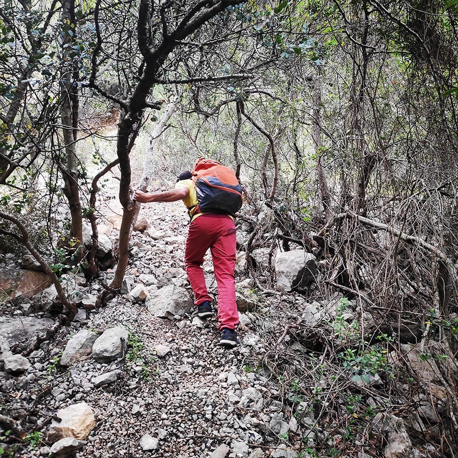 Maia_Multi_Pitch_Katafyki_Ermioni_27