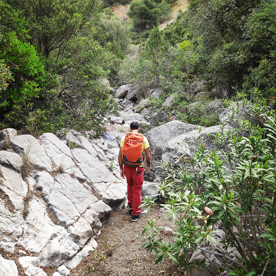 Maia_Multi_Pitch_Katafyki_Ermioni_28