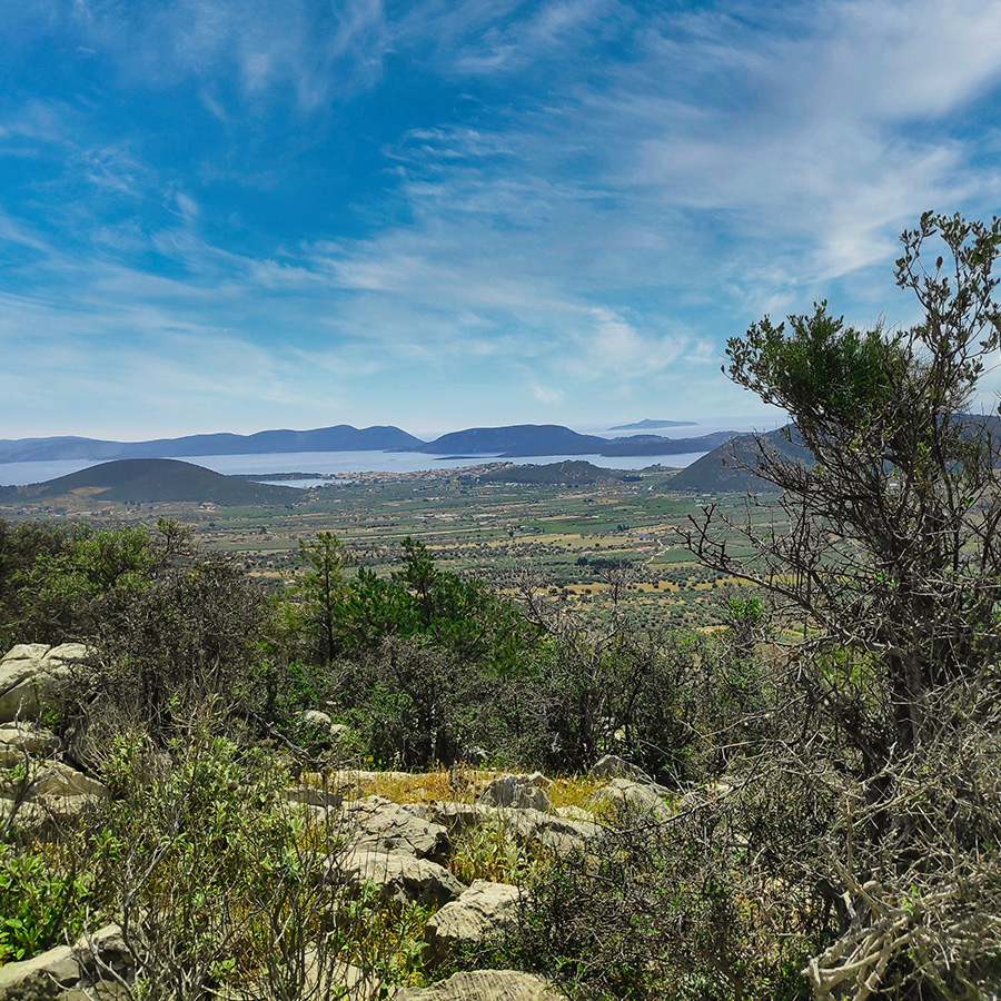 Maia_Multi_Pitch_Katafyki_Ermioni_36