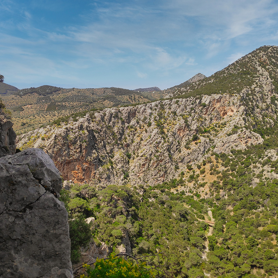 Maia_Multi_Pitch_Katafyki_Ermioni_41