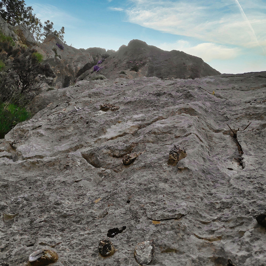 Maia_Multi_Pitch_Katafyki_Ermioni_51