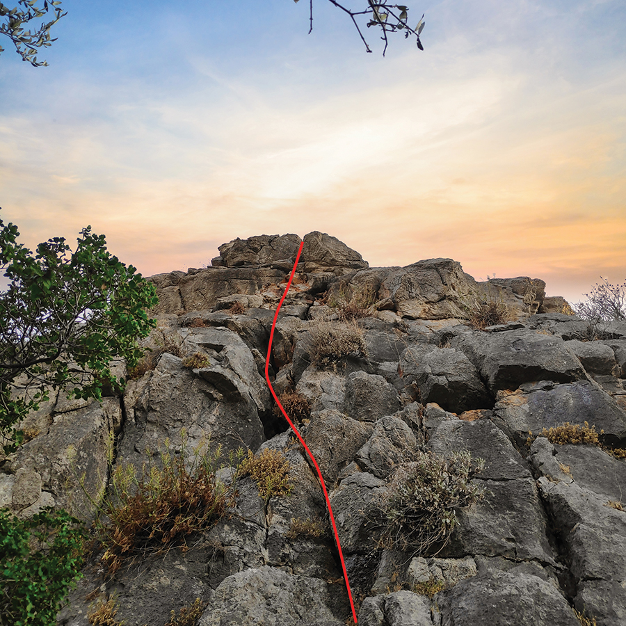 Dardiza_Bayby_Shitter_02