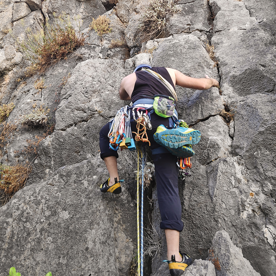 Dardiza_Bayby_Shitter_04