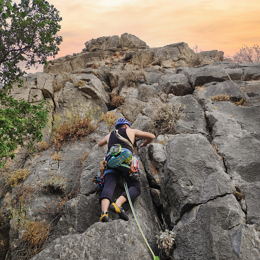 Dardiza_Bayby_Shitter_05