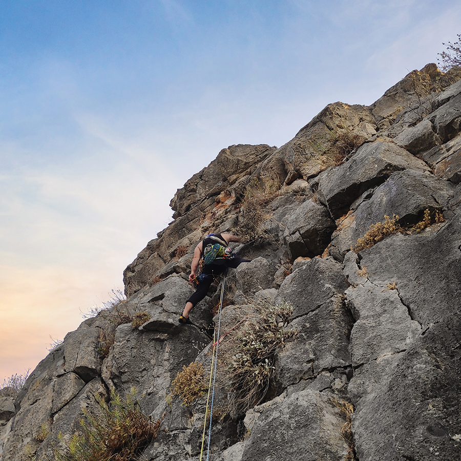 Dardiza_Bayby_Shitter_08