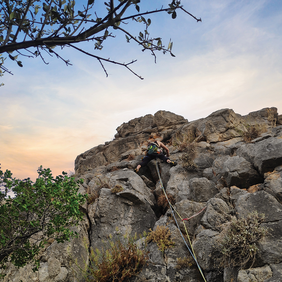 Dardiza_Bayby_Shitter_09