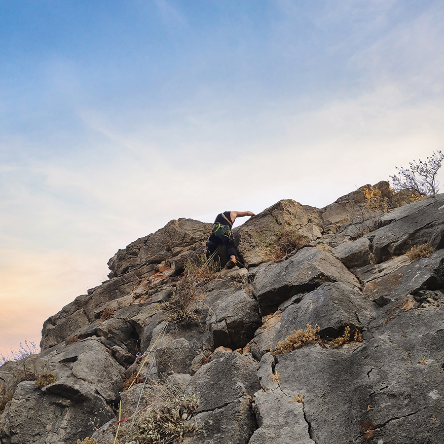 Dardiza_Bayby_Shitter_10