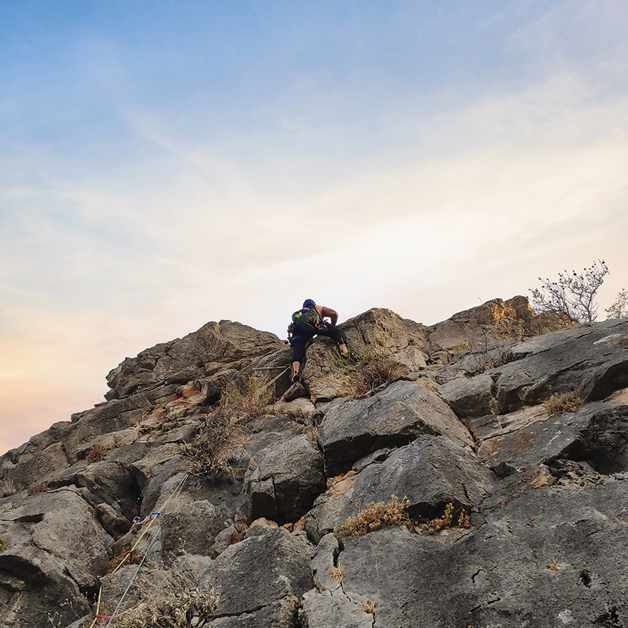 Dardiza_Bayby_Shitter_11